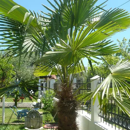 Daire Kallilkratia Flat 2
